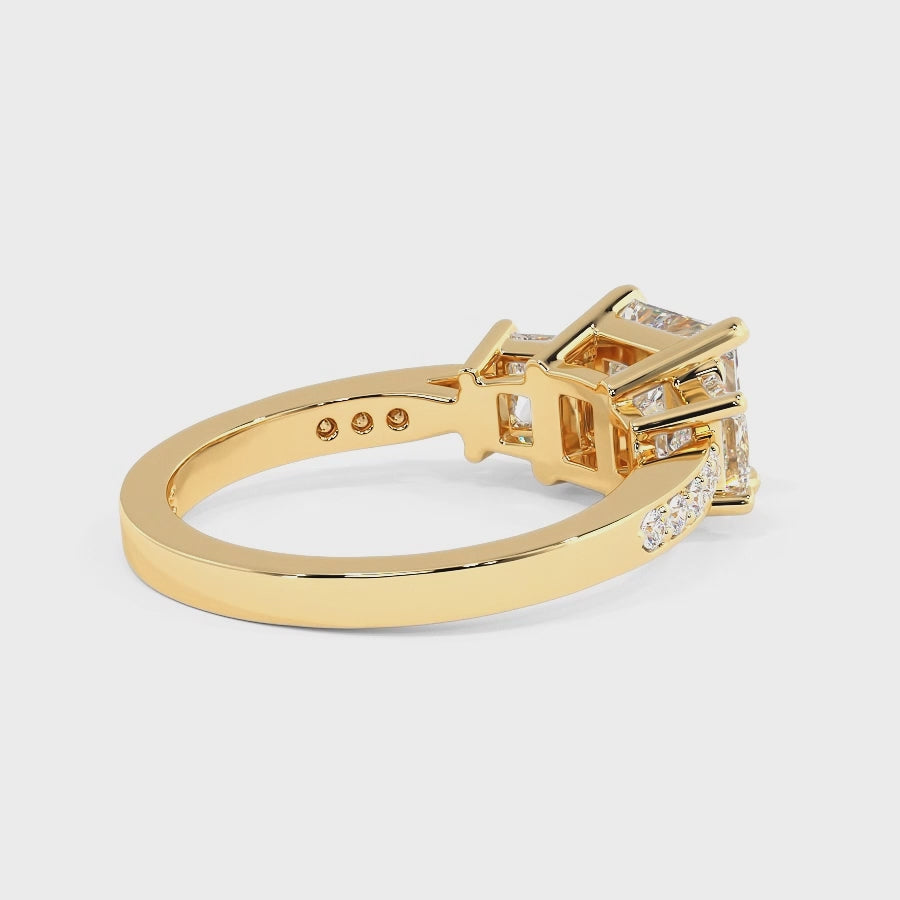 1.35-3.85 CT Princess & Round Cut Lab Grown Diamonds - Engagement Ring