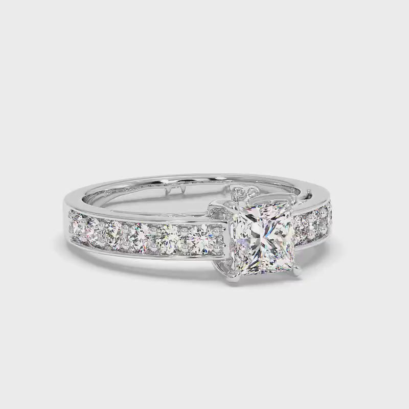 0.85-2.00 CT Round & Princess Cut Diamonds - Engagement Ring