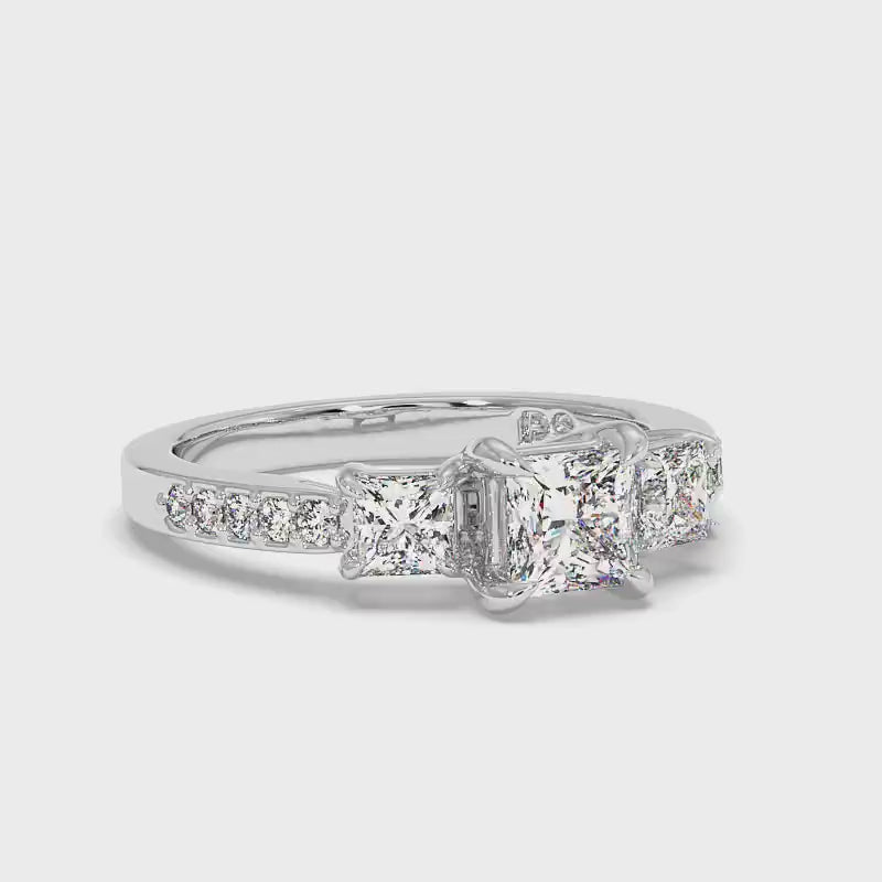 1.20-2.35 CT Round &amp; Princess Cut Diamonds - Engagement Ring