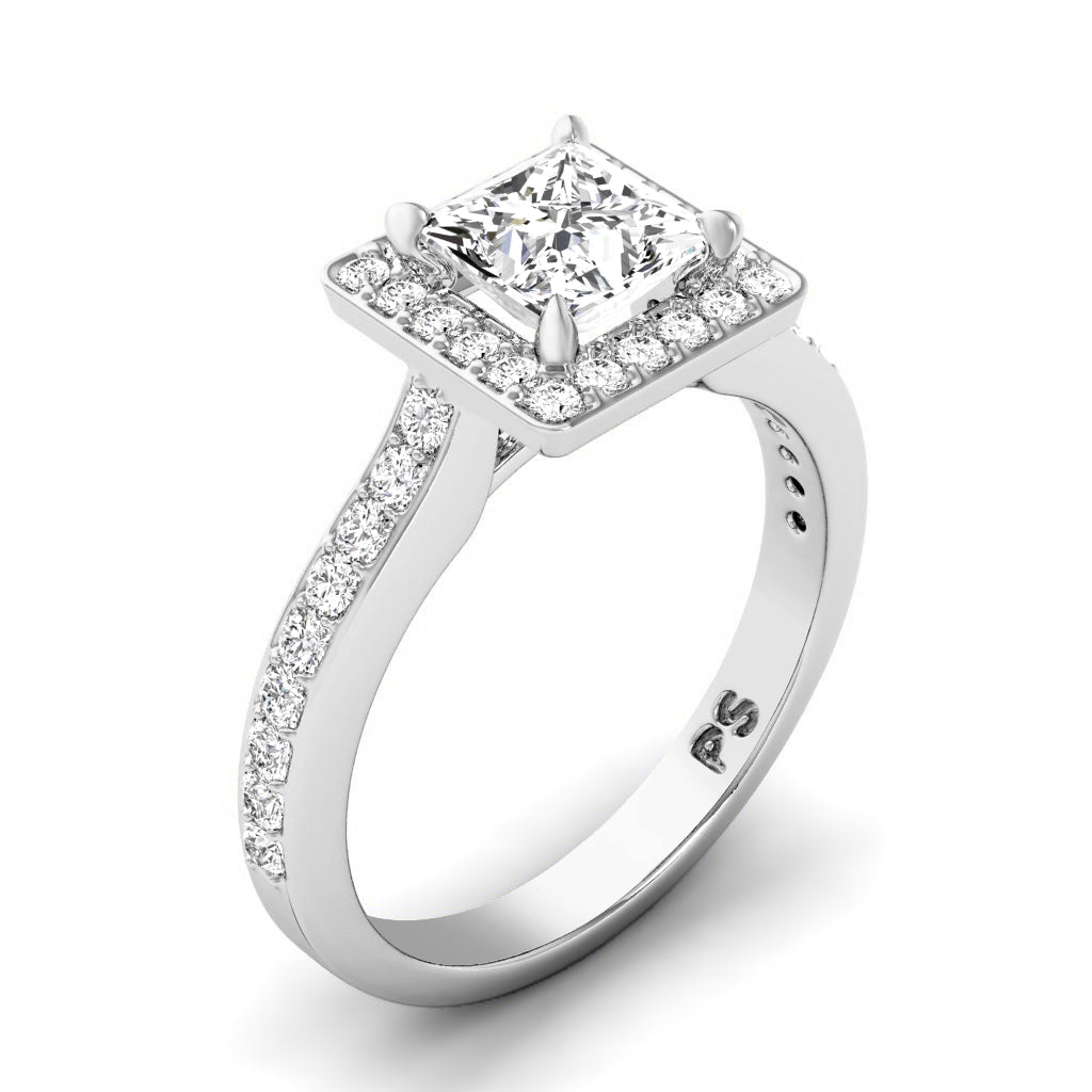 0.75-1.90 CT Round & Princess Cut Diamonds - Engagement Ring