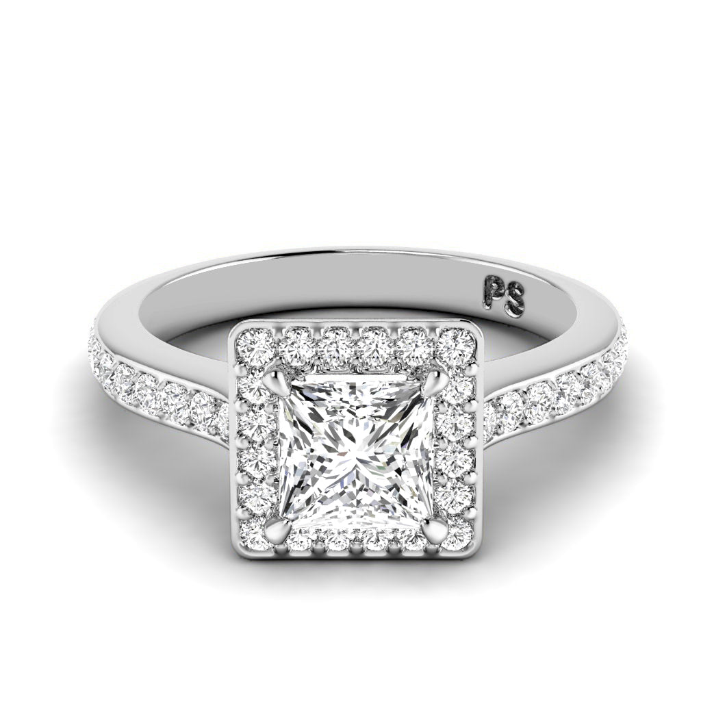 0.75-1.90 CT Round &amp; Princess Cut Diamonds - Engagement Ring