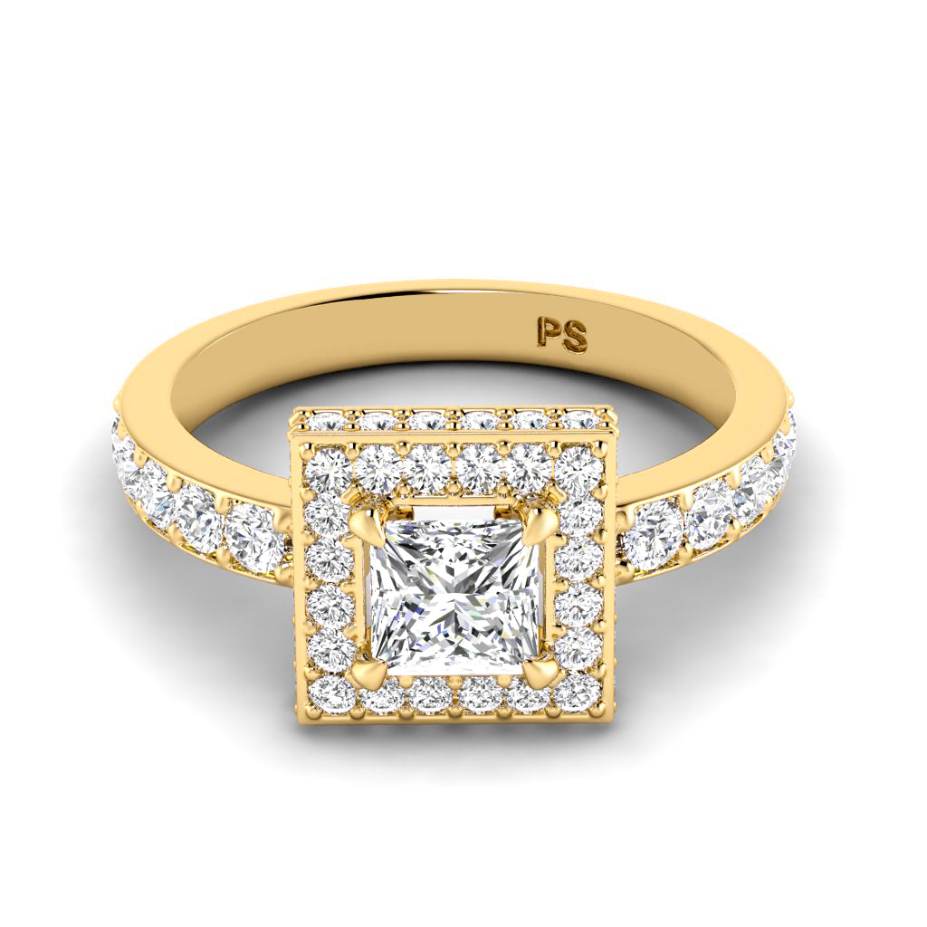 1.50-4.00 CT Round & Princess Cut Lab Grown Diamonds - Engagement Ring