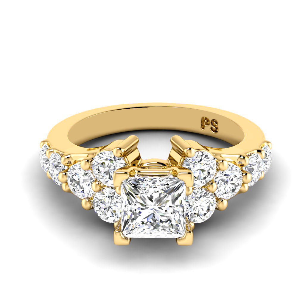 1.75-2.90 CT Round & Princess Cut Diamonds - Engagement Ring